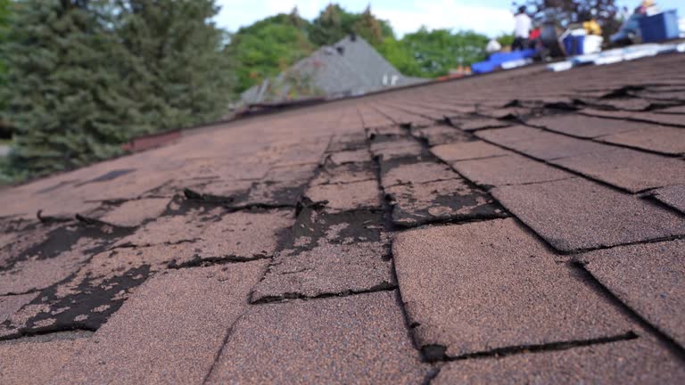 Roof Insulation in Highlands, CA