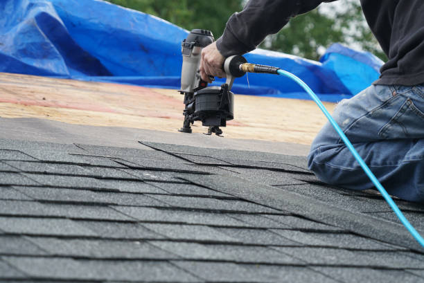 Best Roof Moss and Algae Removal  in Highlands, CA